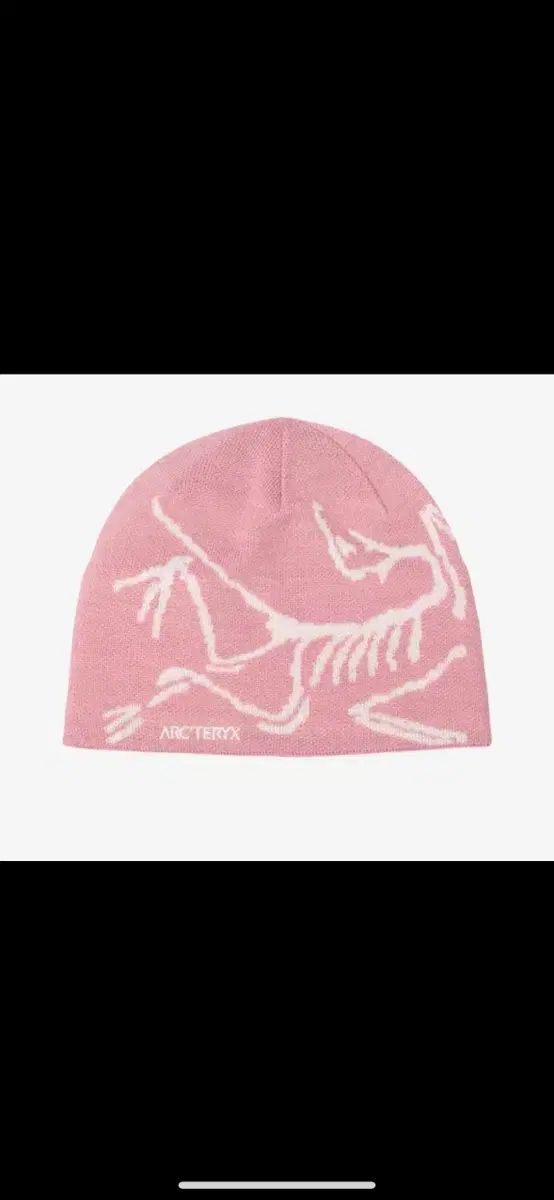 Arc'teryx Bird Word Toque Beanie Bliss⁄Arctic Pink –
