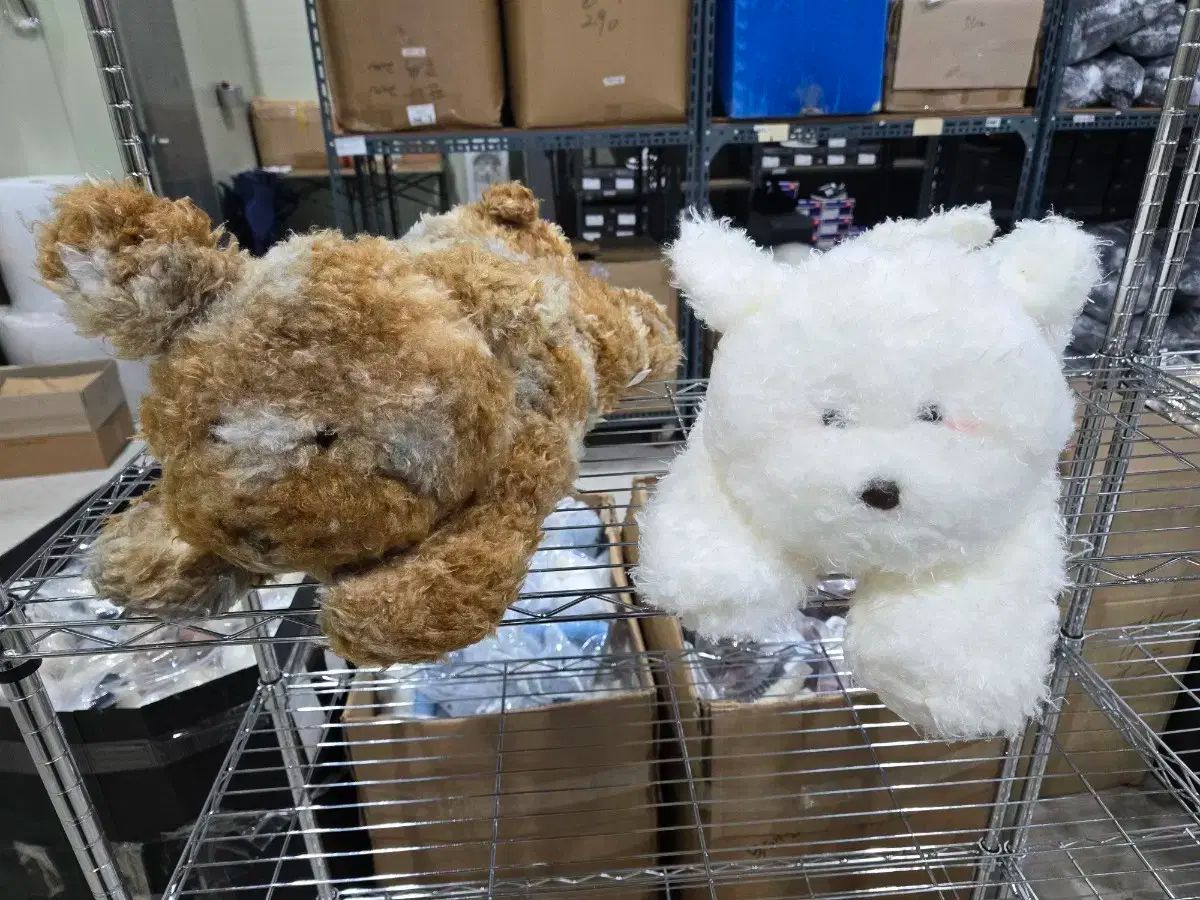 A1033 古伊万里 金襴手 梅に松 宝尽紋様 豆皿 ちびちび 5枚