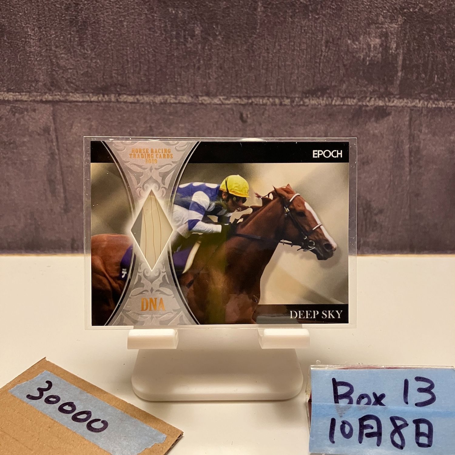 2019 EPOCH ディープスカイ Deep Sky 27/50 競走馬 DNA カード 競馬 