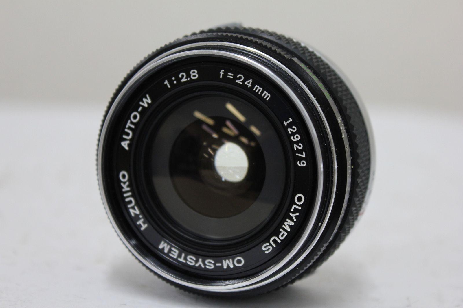 現地株 チレコドン レティキュラータス 万物想　渋谷英一作家鉢付き 現地株 チレコドン レティキュラータス 万物想 渋谷英一作家鉢付き