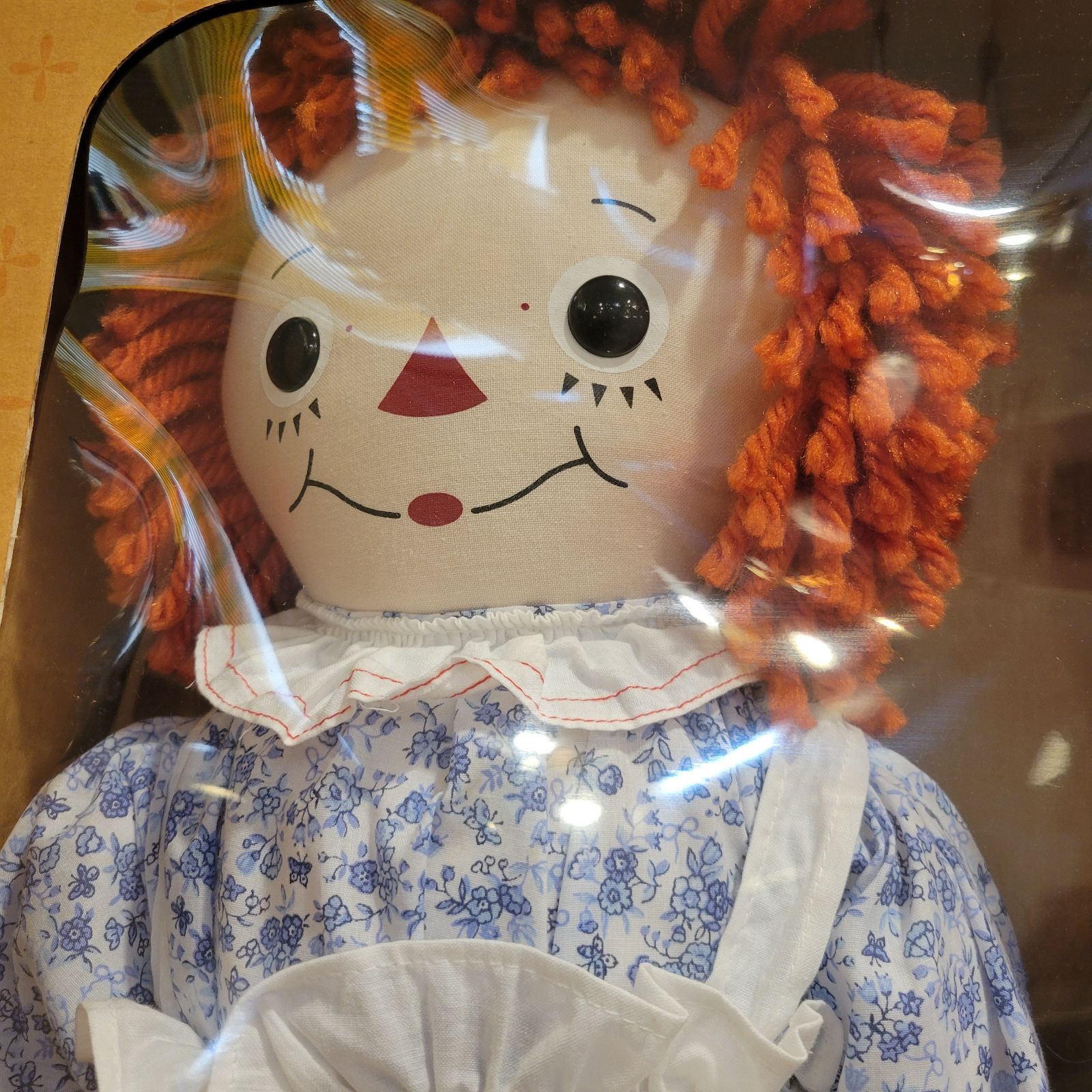 限定品・未開封】 ラガディアン & アンディ 箱付き Raggedy Ann