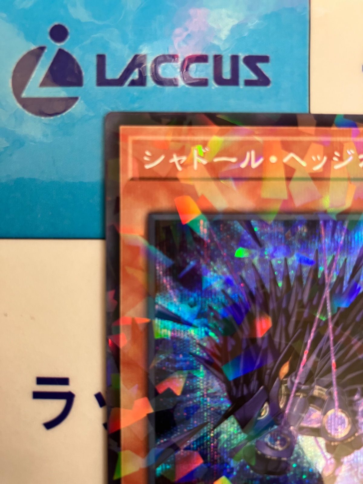 遊戯王 ターミナルワールド3 シャドール・ヘッジホッグ シークレット