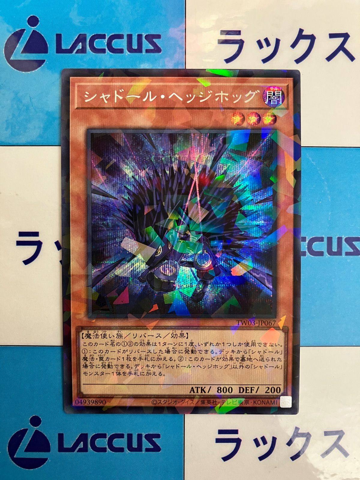 遊戯王 ターミナルワールド3 シャドール・ヘッジホッグ シークレット