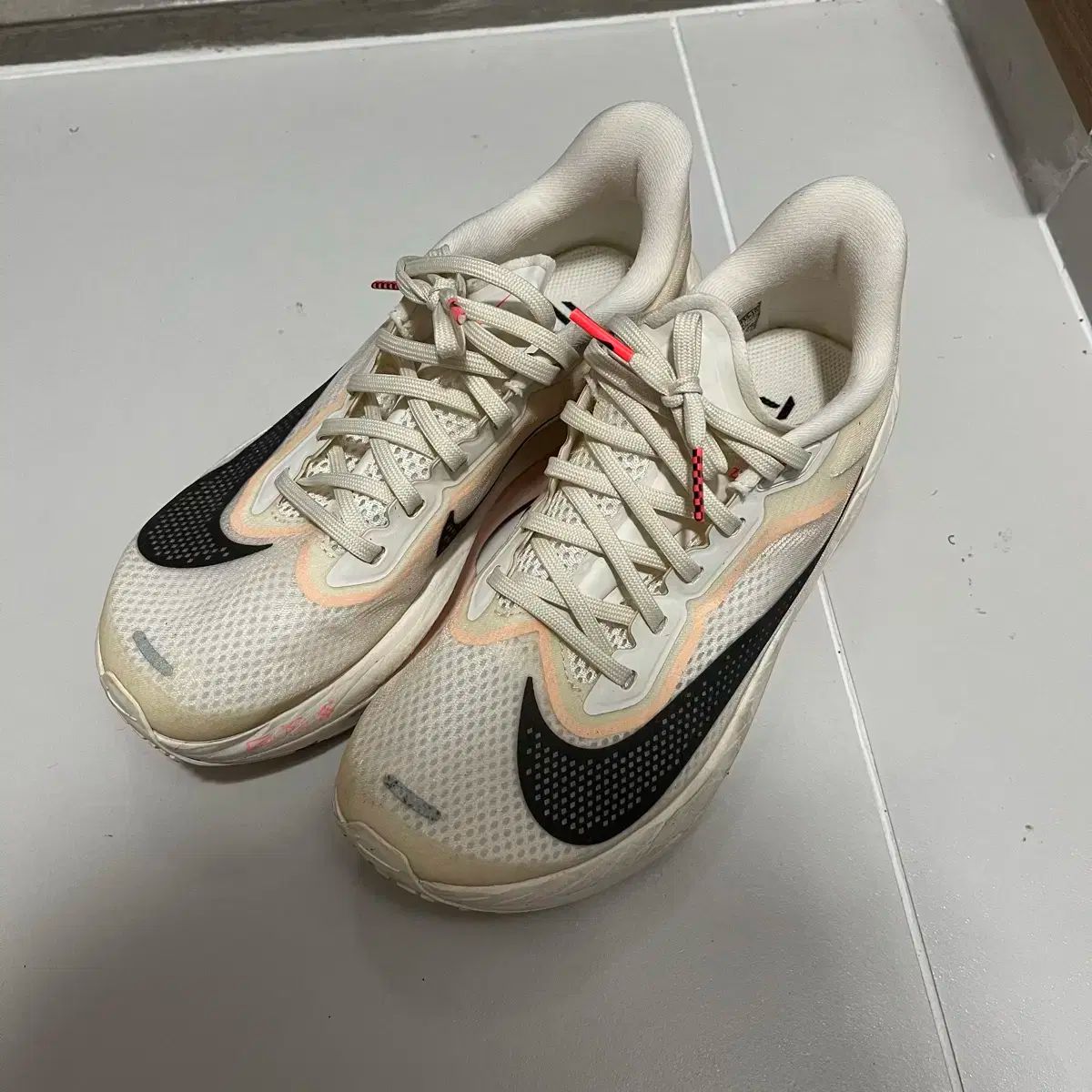 ナイキ ズーム フライ 6 レディース 230