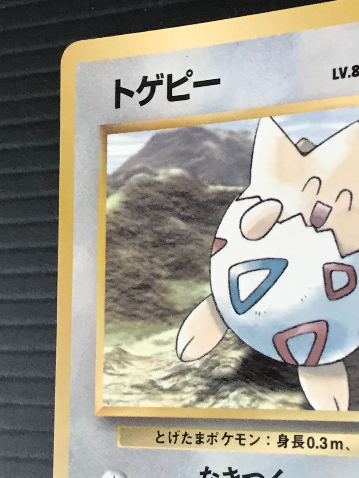 ポケモンカード 旧裏 トゲピー : 「月刊コロコロコミック99年6月号