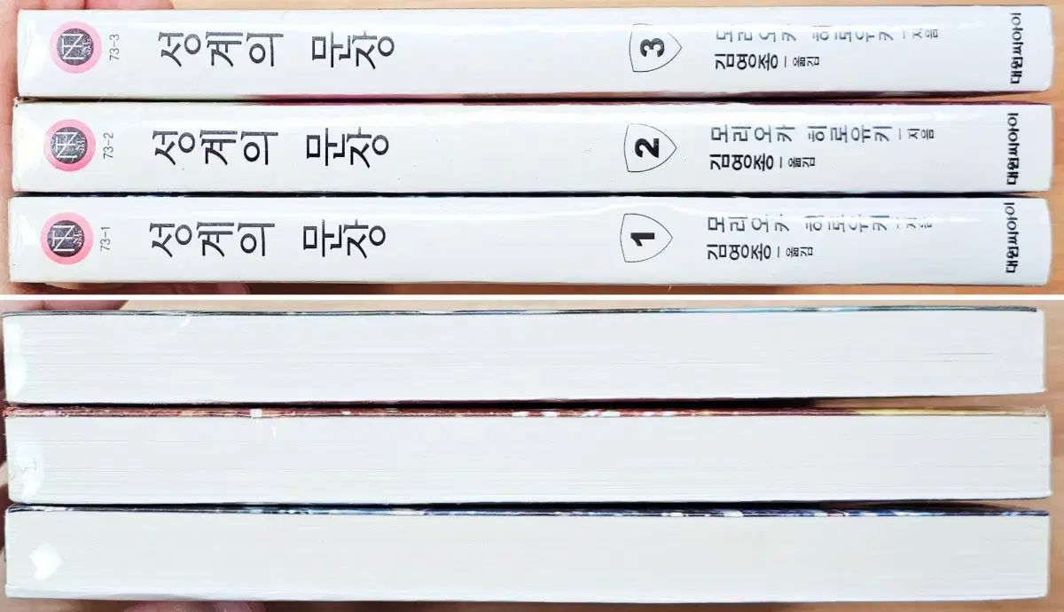 星界の紋章 1 3 赤井タカミ プリンセス メイカー ゴー 古典 電気