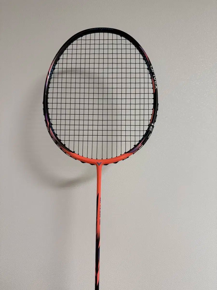 VICTOR x 12 SINDONG級