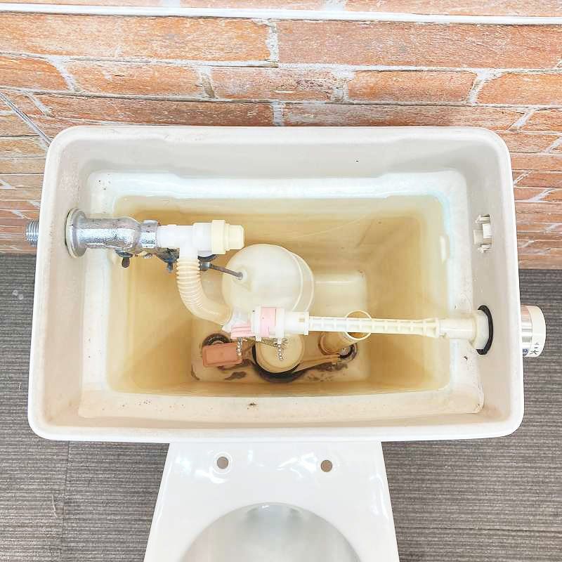 パステルアイボリー 68