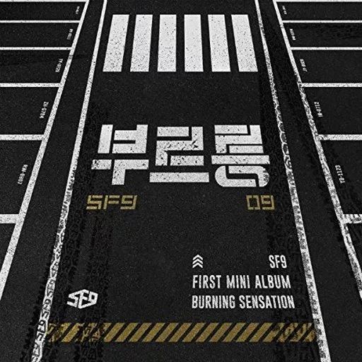 予約済み900■SF9  『Burning Sensation』 中古】輸入洋楽CD SF9 / BURNING SENSATION[輸入盤] - メルカリ