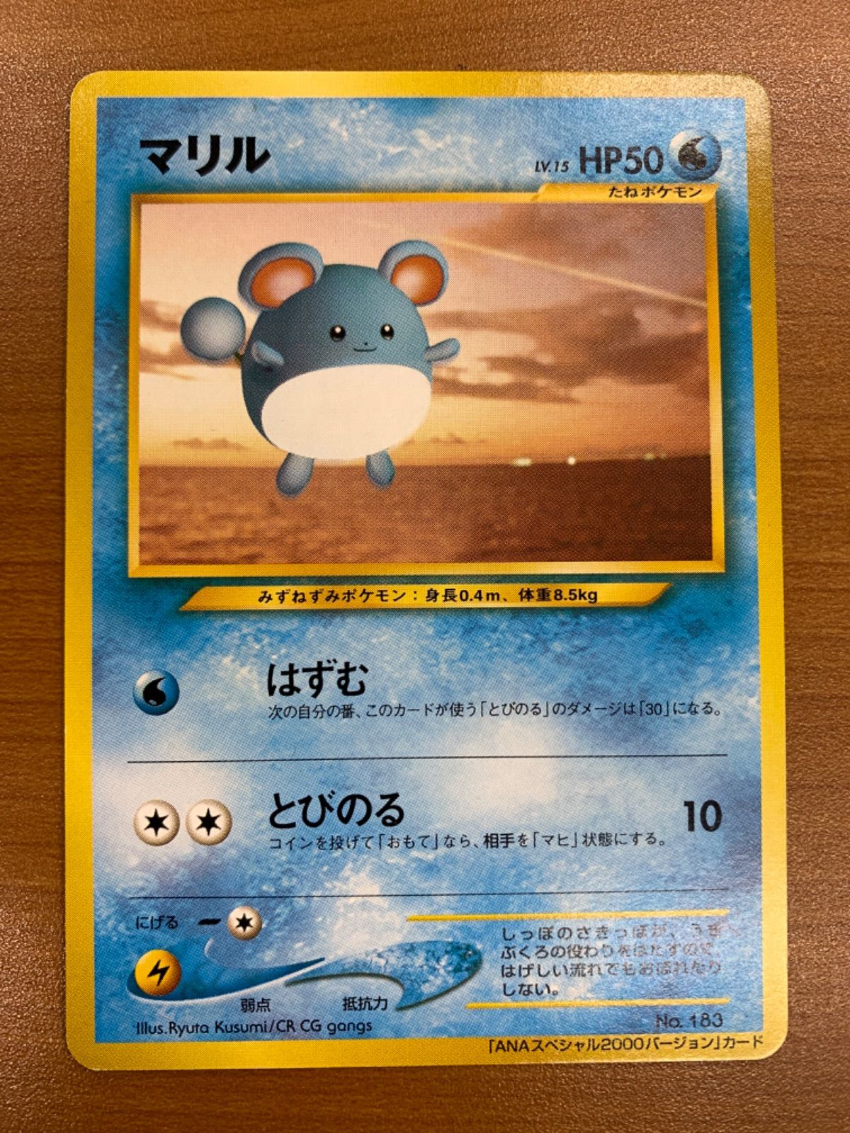 PSA10 マリル 旧裏 プロモ ANA 183 2000 PSA10 マリル 旧裏 プロモ ANA 183 2000 - メルカリ