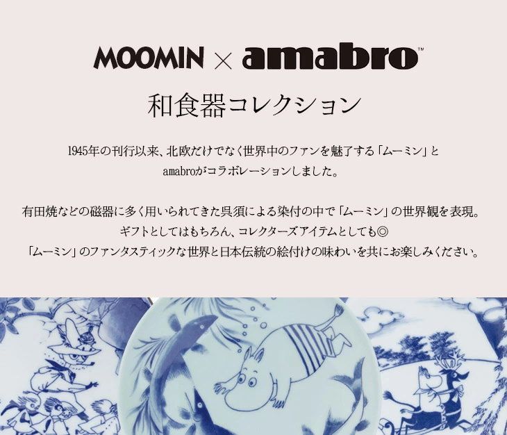Moomin amabro JAPAN KUTANI GOSAI 組ボックスセット 九谷焼の絵皿 アマブロ ムーミン 皿 九谷焼 磁器 五彩 絵付け homestyle dishes 楽しい食卓