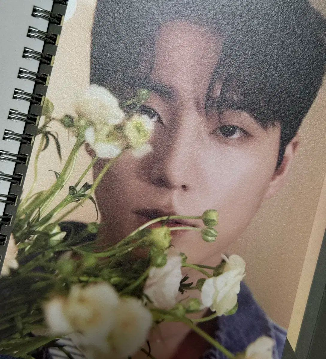 DAY6（デイシックス） FOREVER アルバム（グリーン） -PHOTOBOOK＋CD