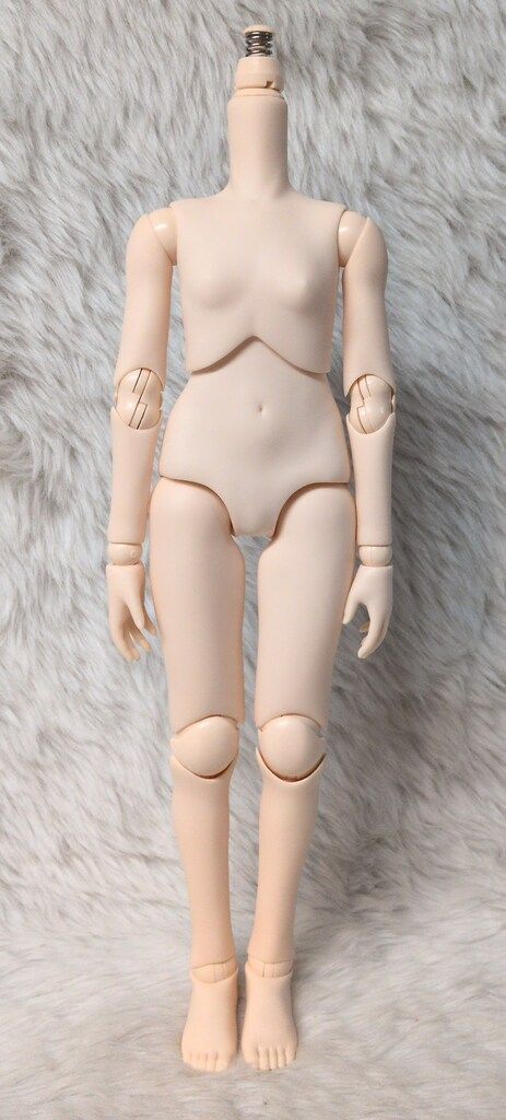 パラボックス 40 cm女の子ボディ S胸 ホワイティ