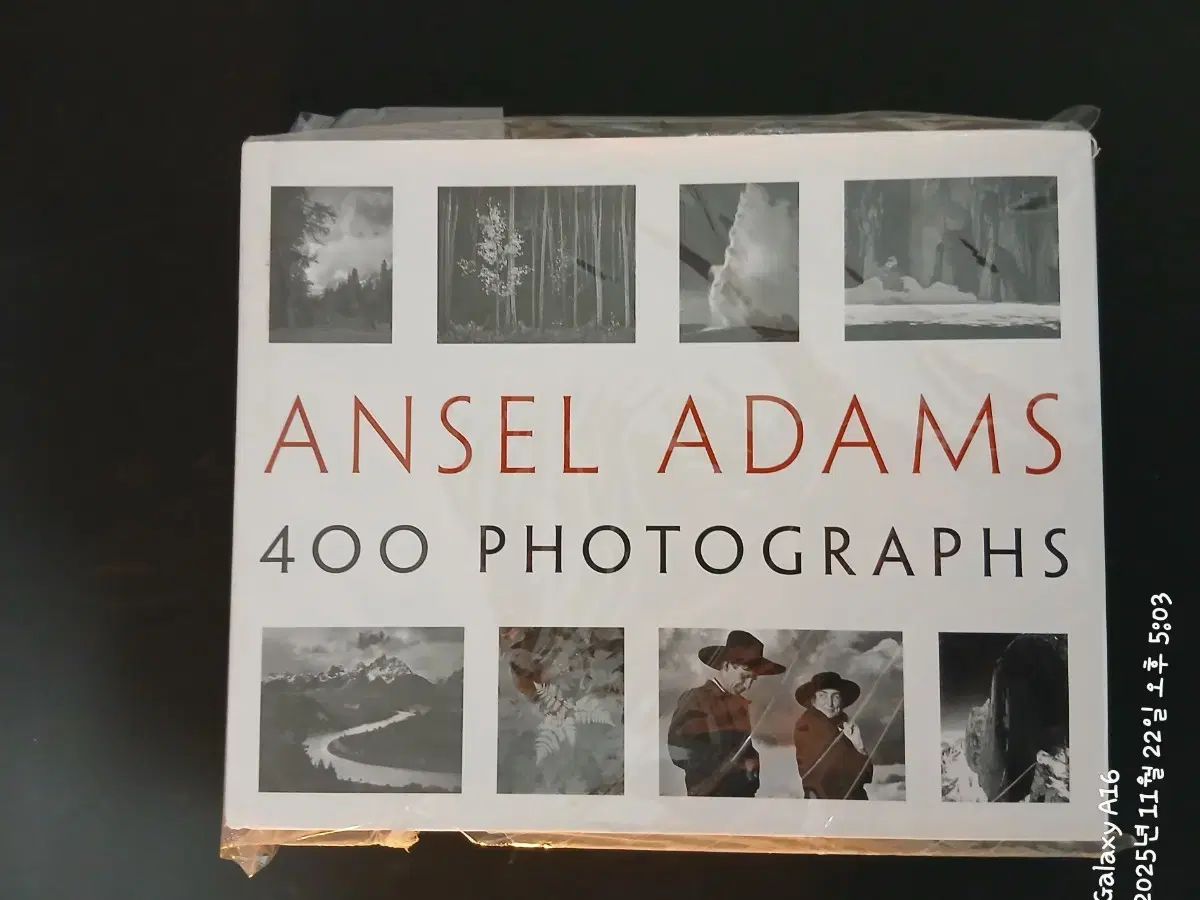 エンジェル アダムス 写真集