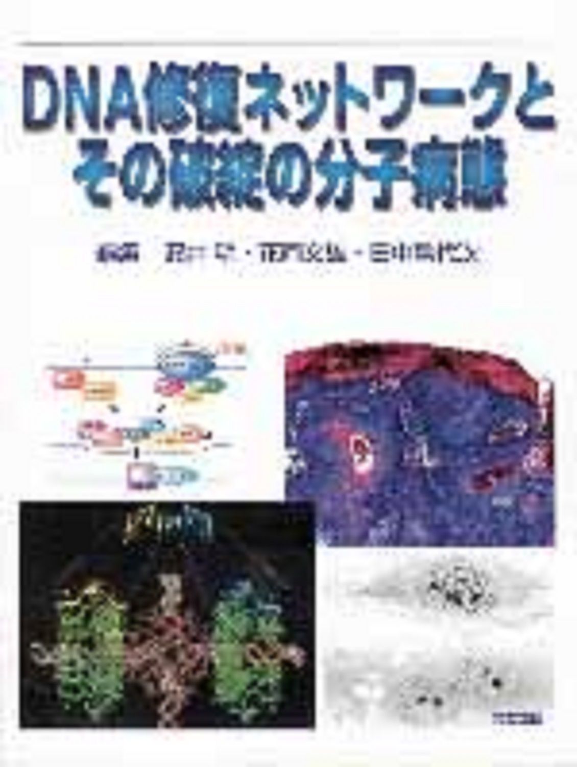 ＤＮＡ修復ネットワ-クとその破綻の分子病態/共立出版/安井明（大型本） DNA修復ネットワ-クとその破綻の分子病態/共立出版/安井明（大型本