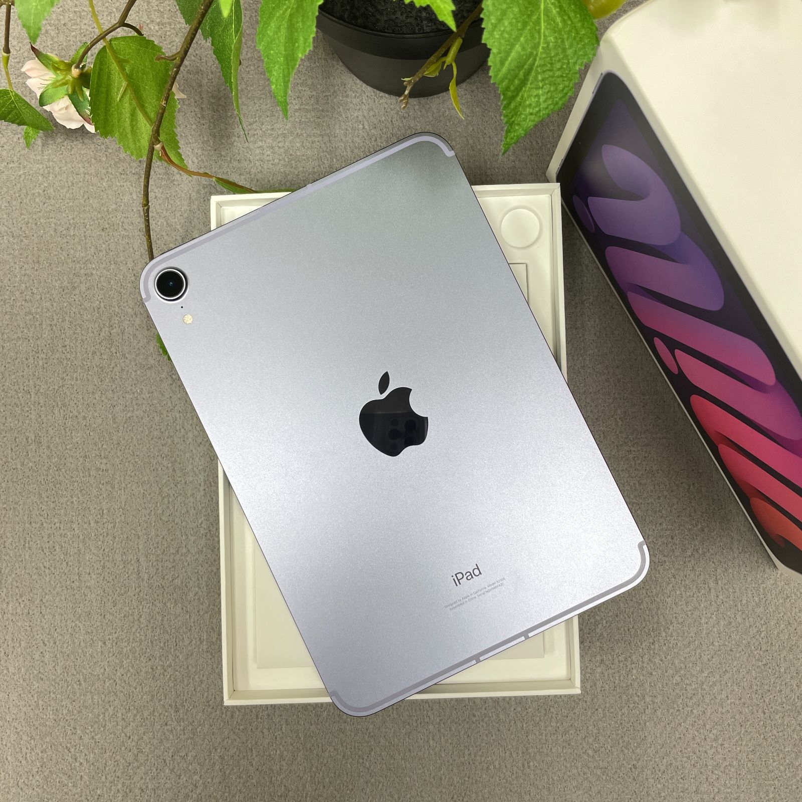 【本物保証，高品質】 iPad mini 6 パープル 256Gb Wi-Fi + Cellularモデル iPad本体