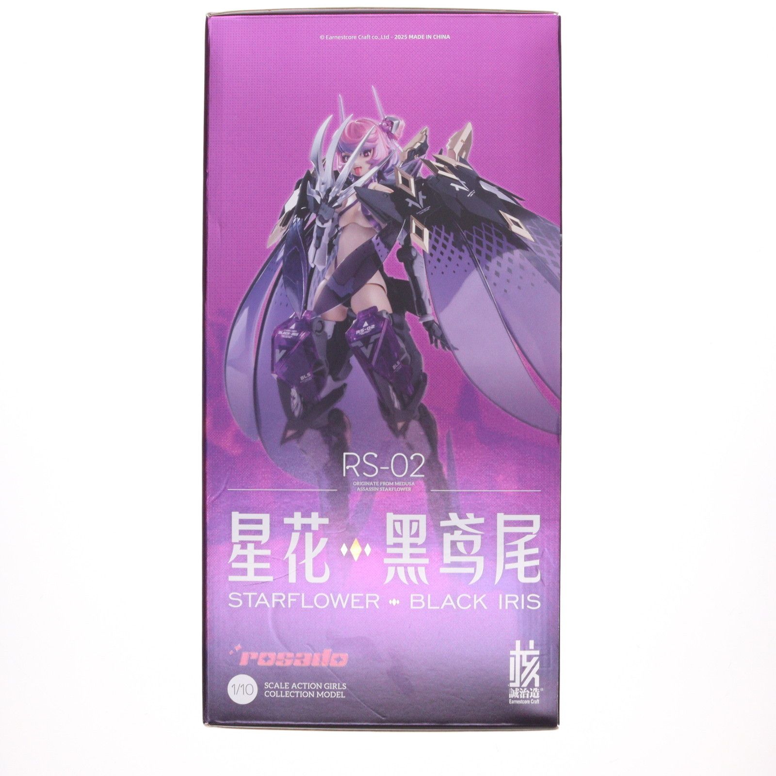 rosado Project RS-02 星花・ブラックアイリス 1/10 完成品 アクション