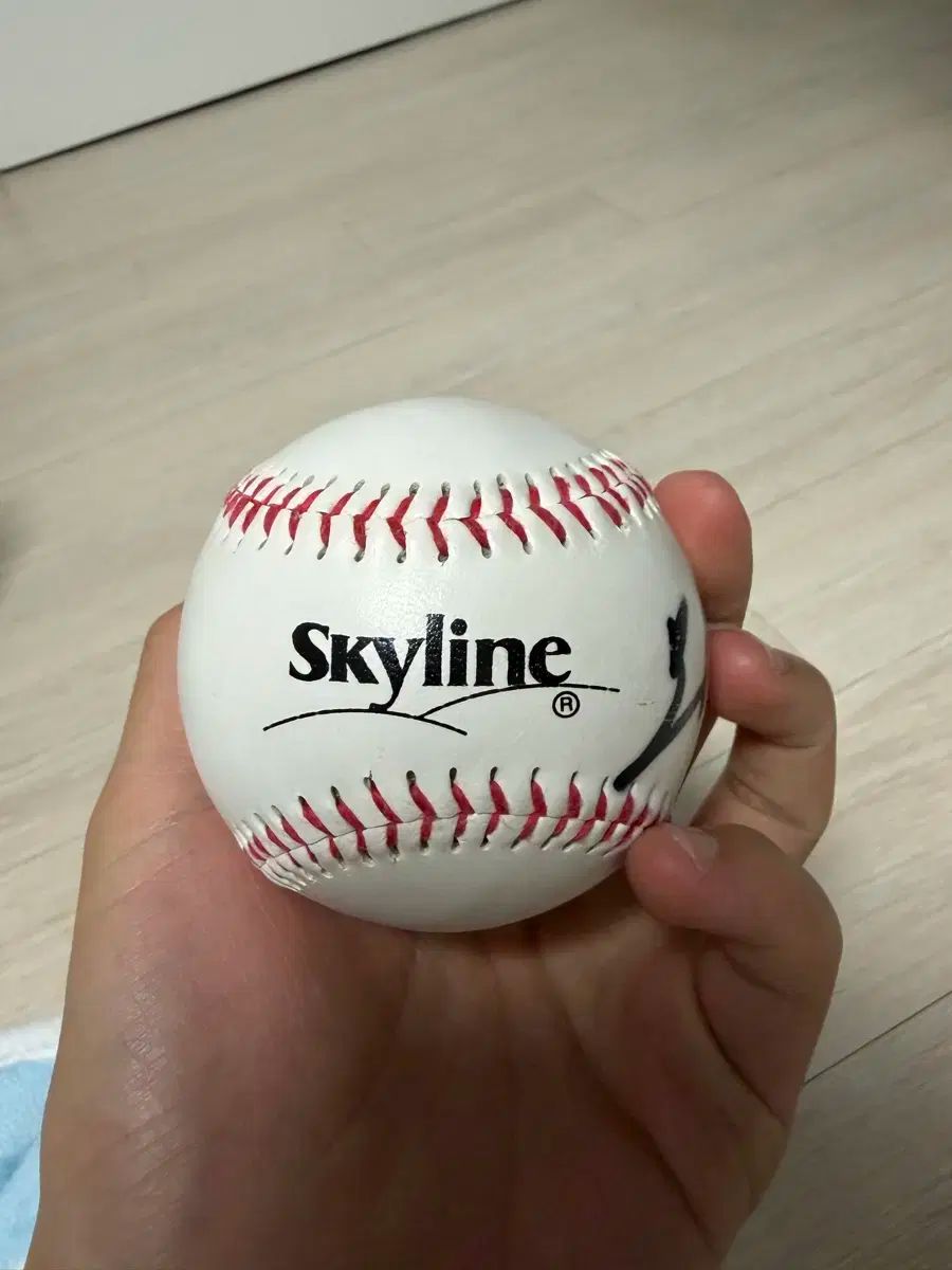 オ・スンファン（呉昇桓） サイン入りボール スカイライン - メルカリ