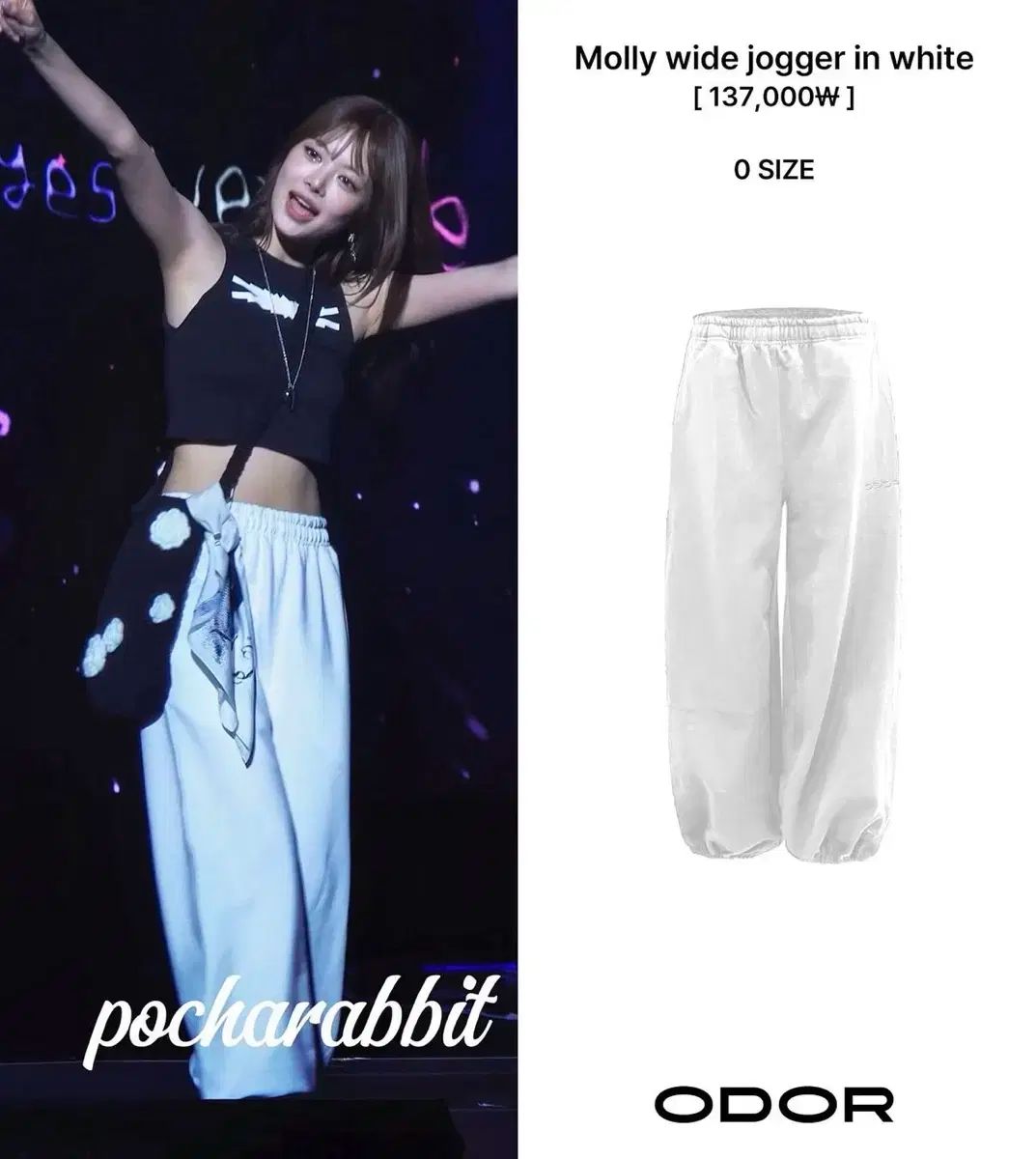 オドア Molly モリージョガー