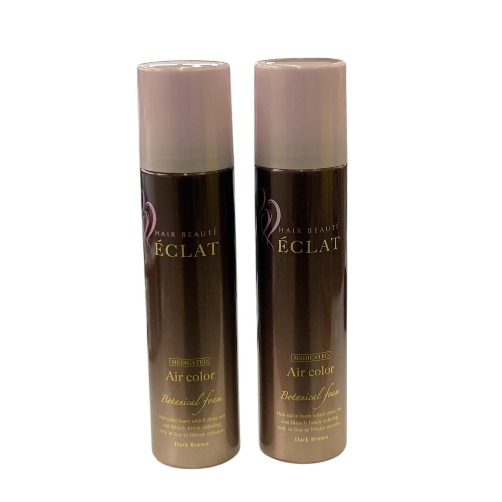 186000 ヘアボーテエクラ ÉCLAT Air color ダークブラウン 150g 2点