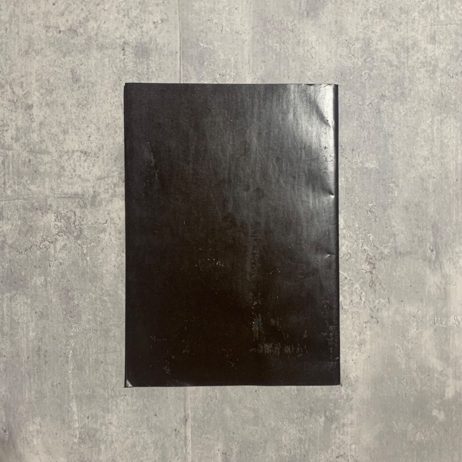 Coco Capitán / NAÏVY（ナイヴィー）アートブック 写真集 ココ