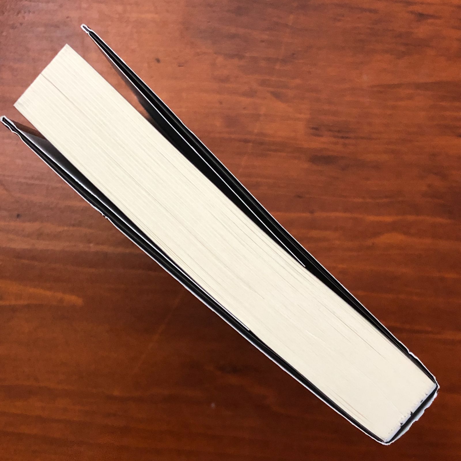 ユダヤ禍の世界［復刻版］ 笠見一郎 ダイレクト出版 2022年3月31日第1