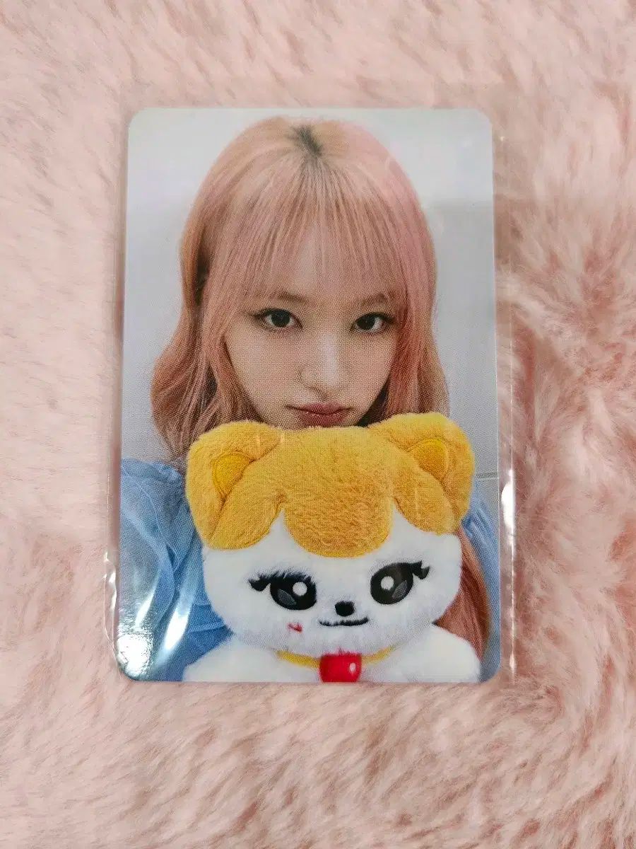 IVE아이브 MINIVE SCHOOL チーズ냥ぬいぐるみ30cm特典 -リズ(LIZ