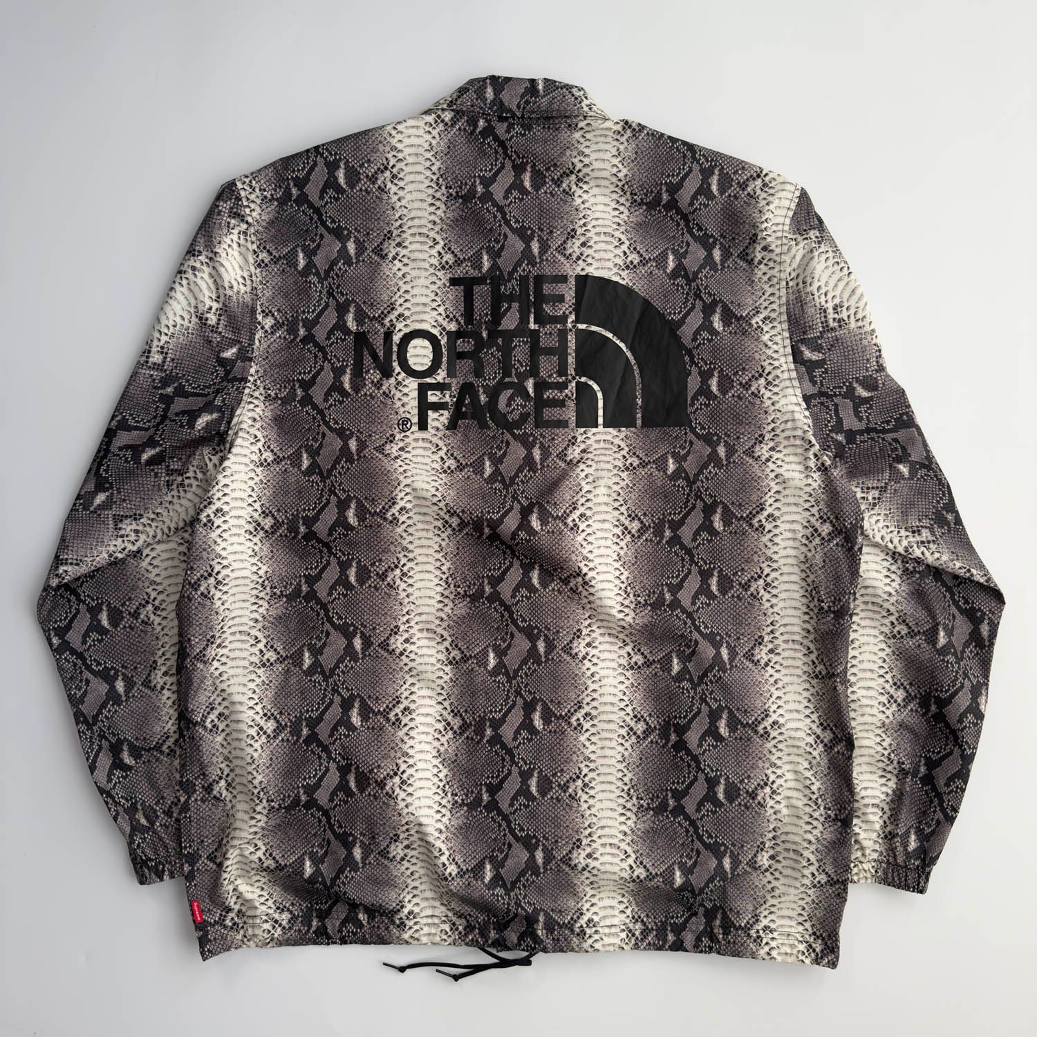 Supreme × The North Face (シュプリーム × ザ ノースフェイス