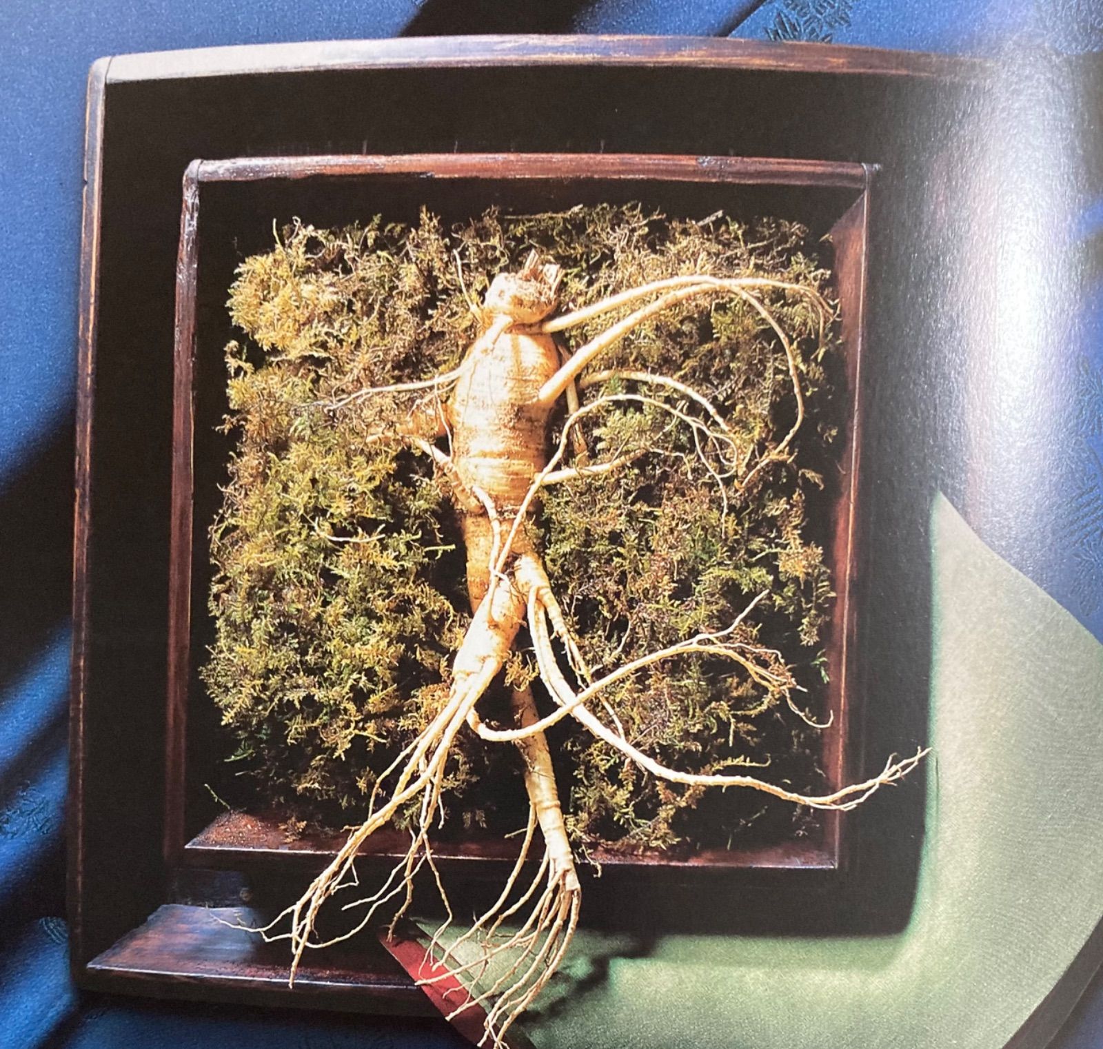 韓国のno.1イルファ製品