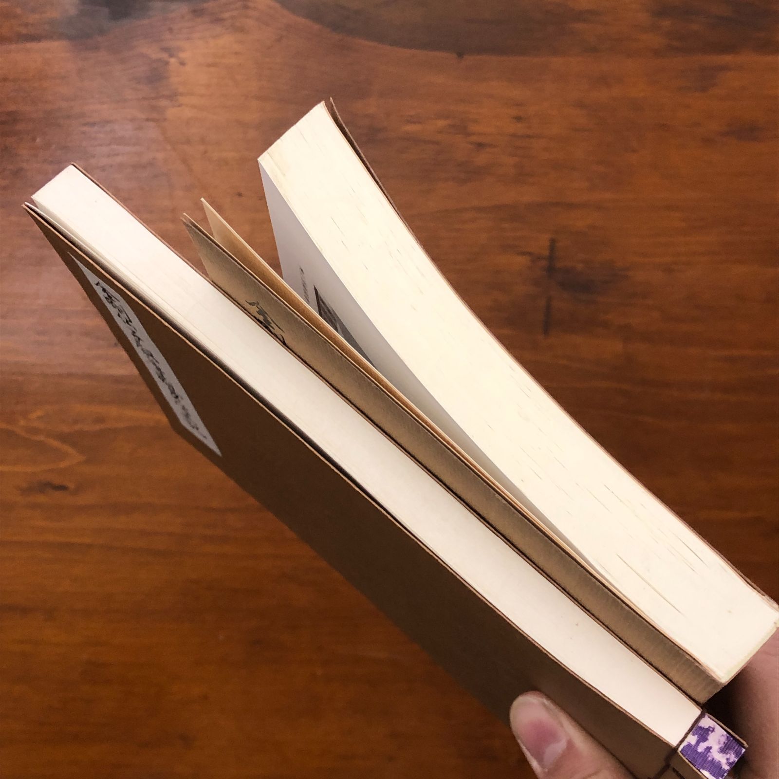 金剛仏子叡尊威身学正記 興正菩薩七百年御遠忌記念 2冊 真言律宗総本山 西大寺 仏教 宗教書 寺院資料 密教 古典 典籍 真言律宗 精神文化 文献 研究資料 鎌倉時代 ccB 13 ynm 6