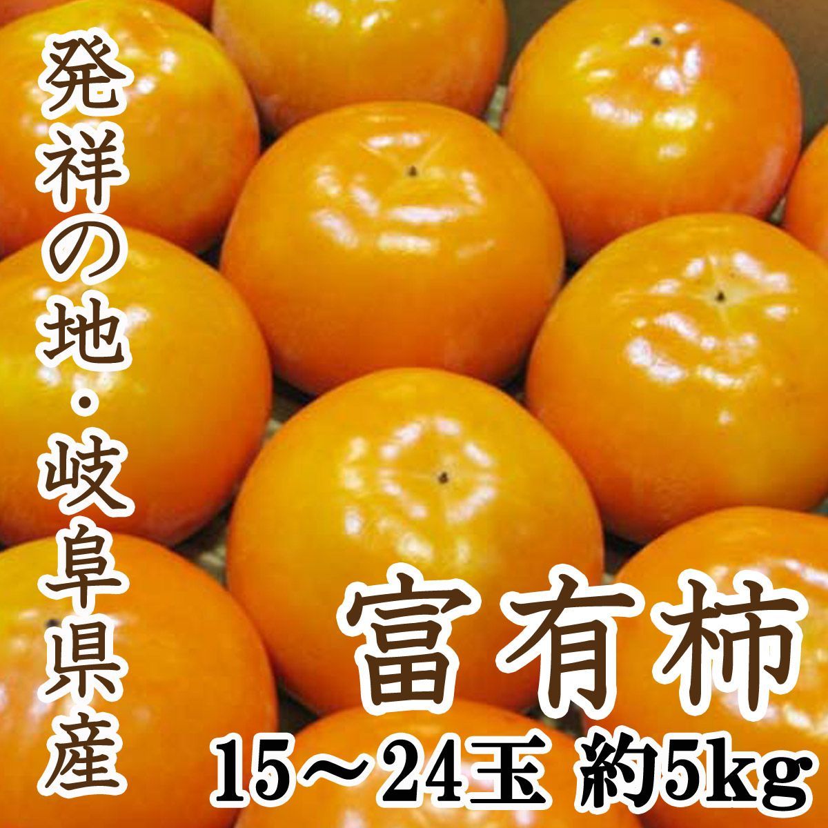 H15K60d 天童木工 Tendo 座卓 F-0228 乾三郎