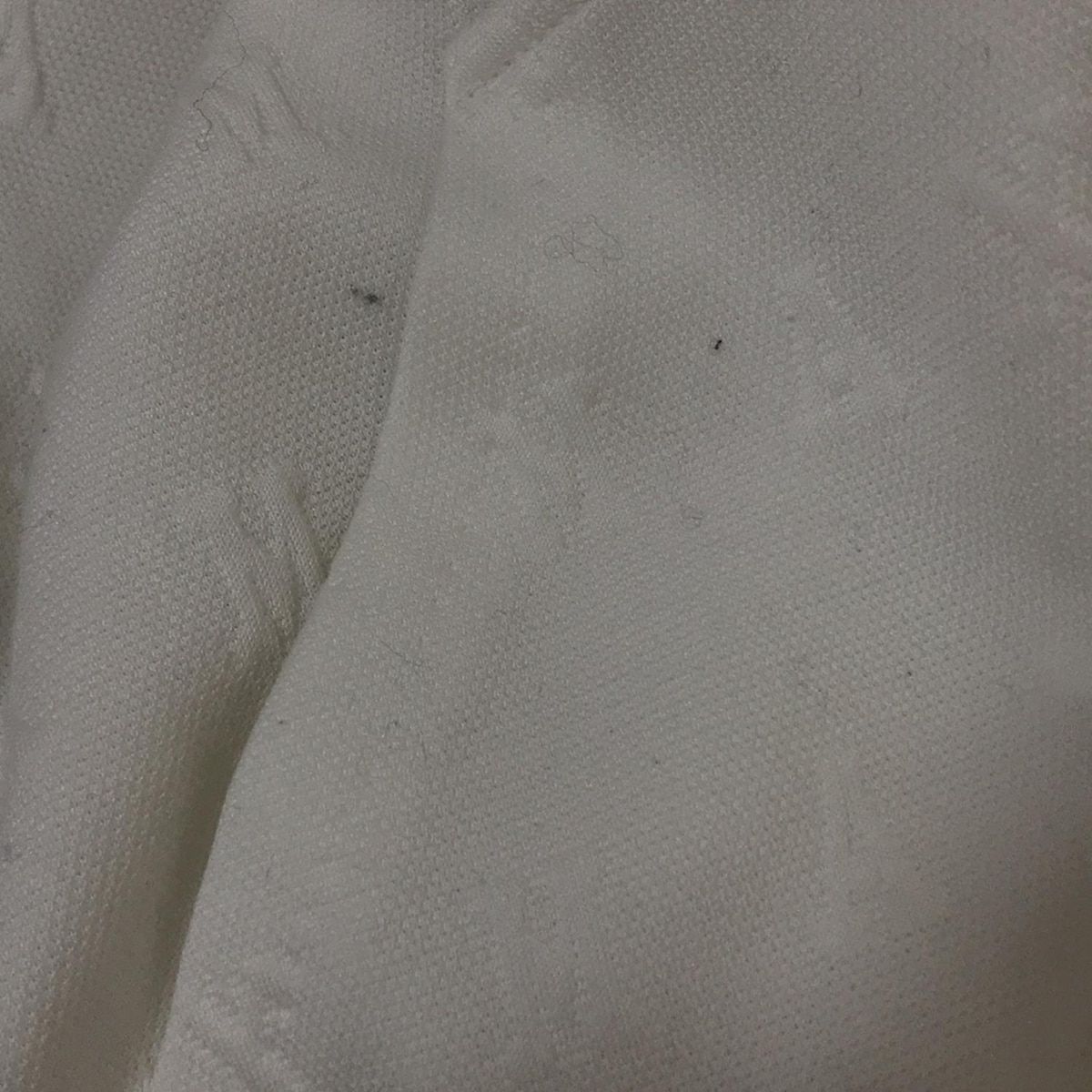 Max Mara(マックスマーラ) ブルゾン サイズ38 S レディース - 白 長袖