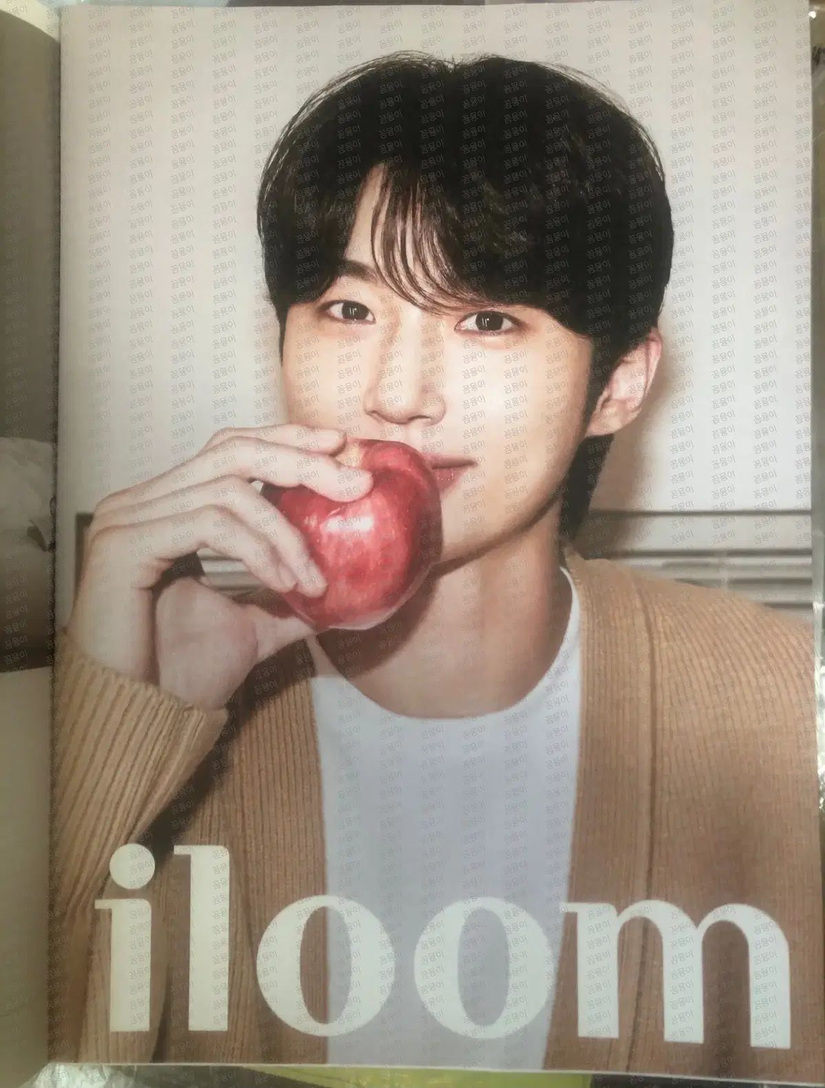 ビョンウソク俳優イルームグッズカタログ雑誌ブロシュアー4コマステッカー