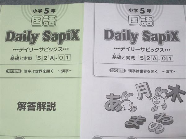 SAPIX 小学5年 サマーサピックス/デイリーサピックス 52A/52B 計84回分