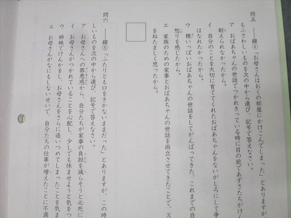SAPIX 小学5年 サマーサピックス/デイリーサピックス 52A/52B 計84回分