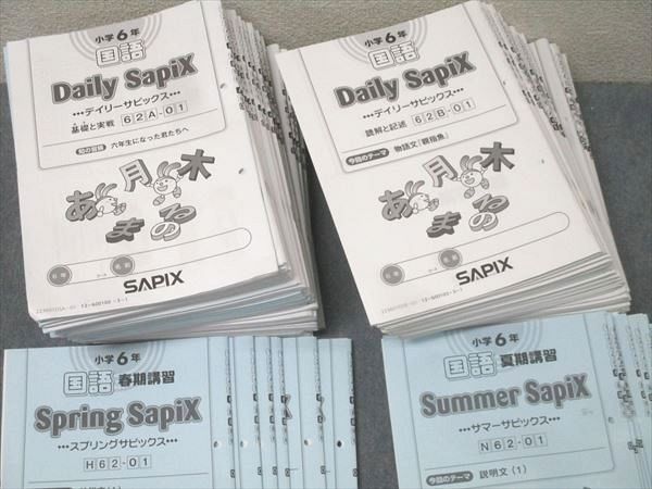 SAPIX 小学6年 国語 スプリング/サマー/デイリーサピックス 62A/62B 計