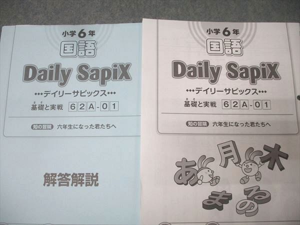 SAPIX 小学6年 国語 スプリング/サマー/デイリーサピックス 62A/62B 計