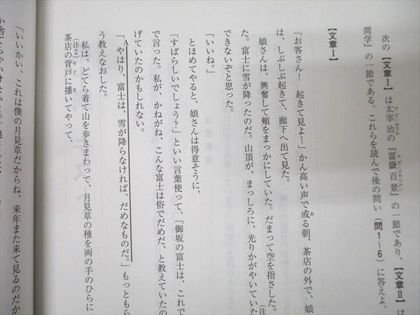 河合塾 国語 現代文/古文/漢文 共通テスト対応等 テキスト通年セット