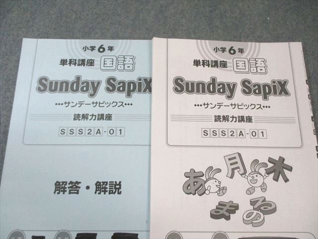 SAPIX 小6 サピックス SS特訓 国語 【全14回分フルセット】 通年セット