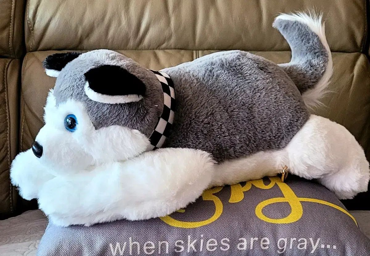 X_top シベリアン ハスキー子犬 45cm ぬいぐるみ - メルカリ