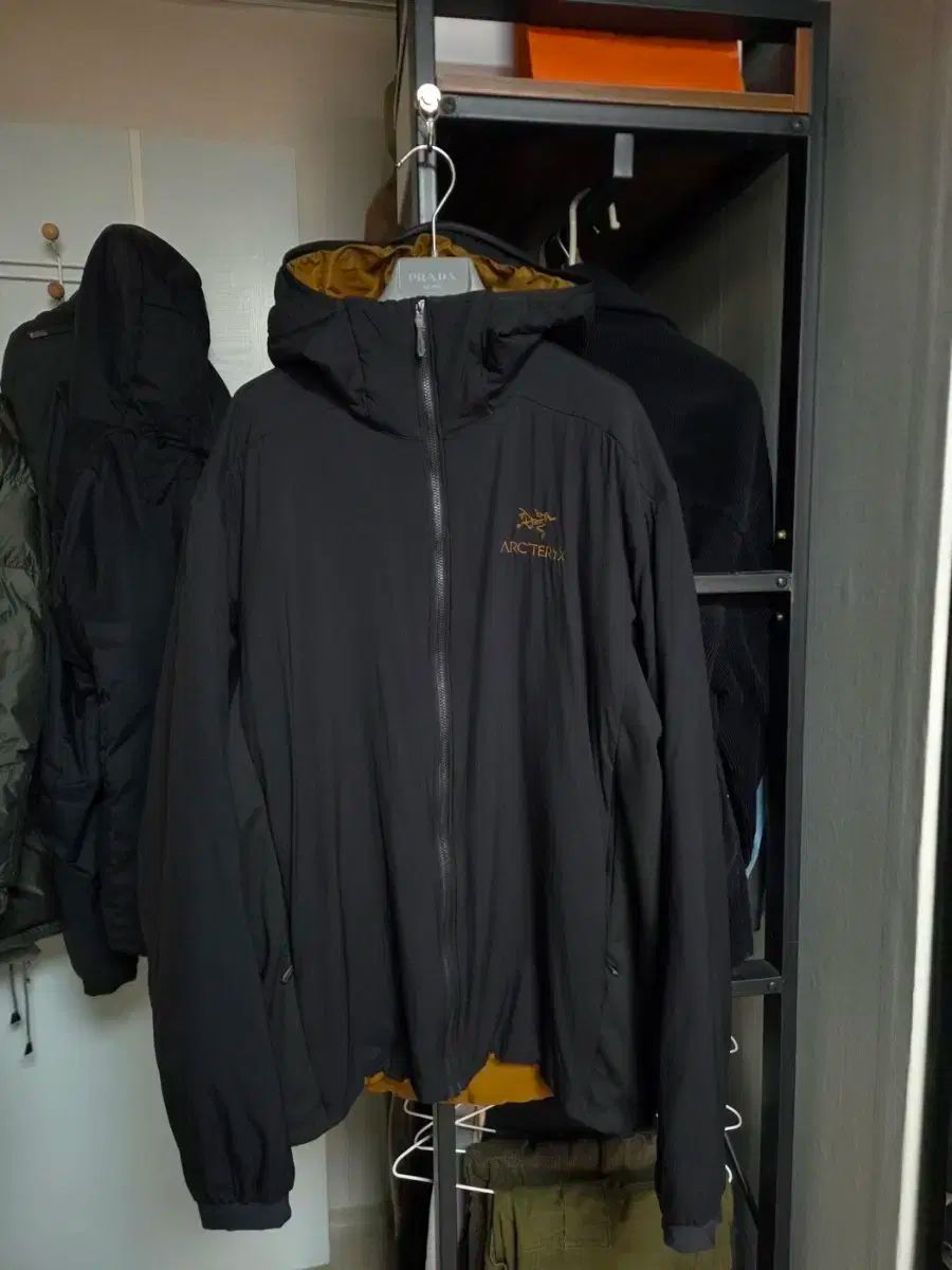 ARC TERYX アークテリクス Atom アトム LT フーディ 24 k Lサイズ
