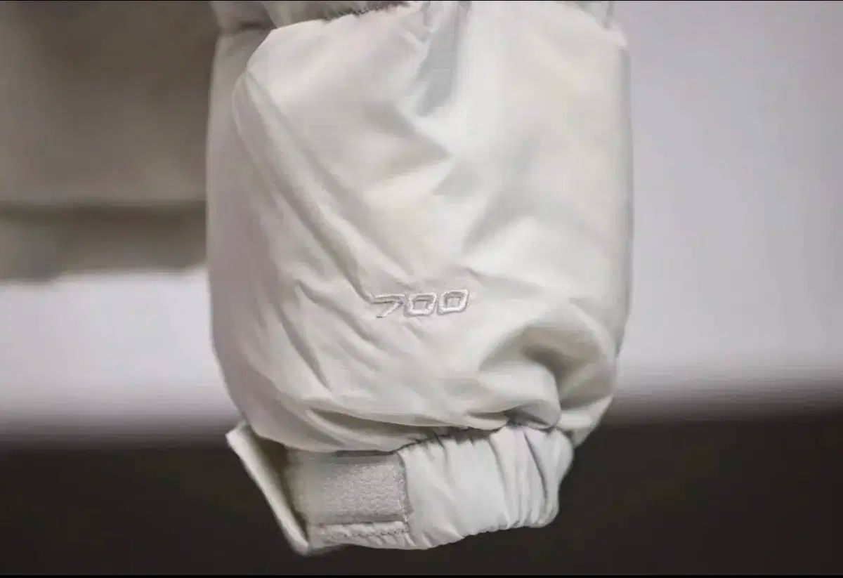 ザノースフェイス