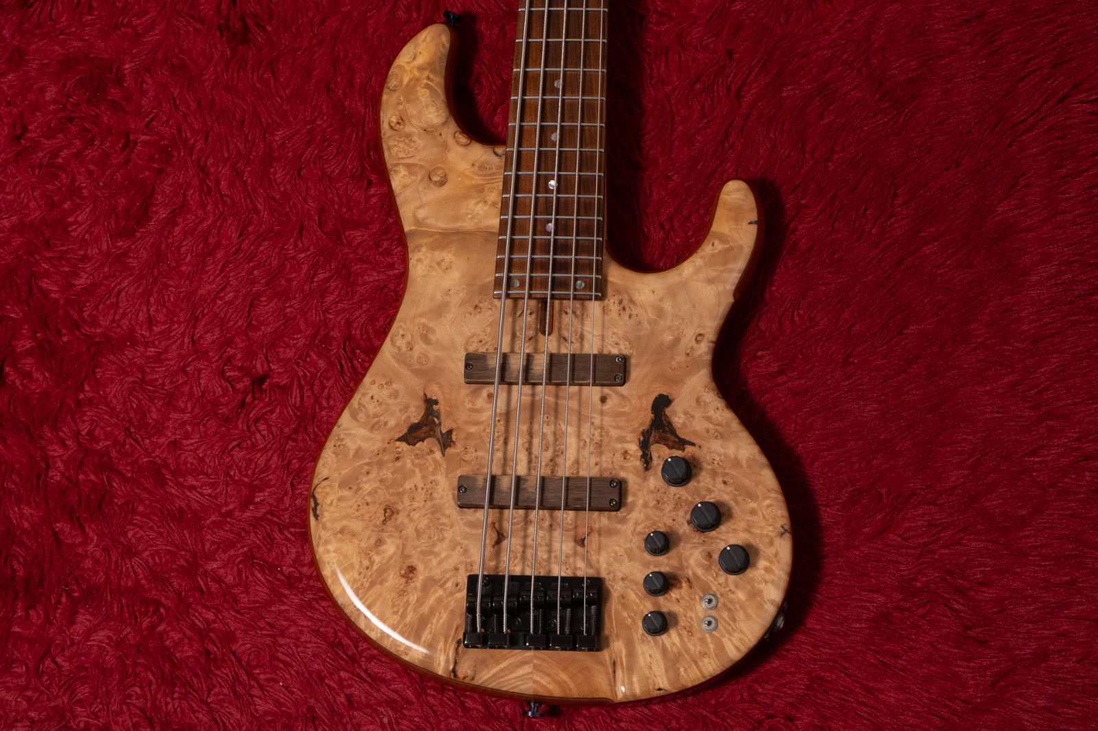 dragofly IL CUORE ギター dragonfly IL COURE 5ST | ワタナベ楽器店