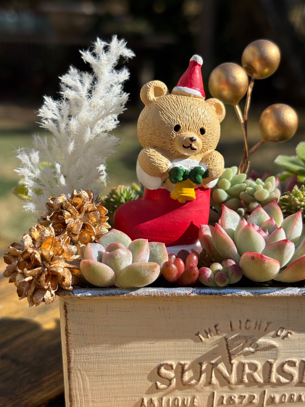 多肉植物＊クリスマス寄せ植え☆長ぐつくまちゃん☆そのまま飾れる