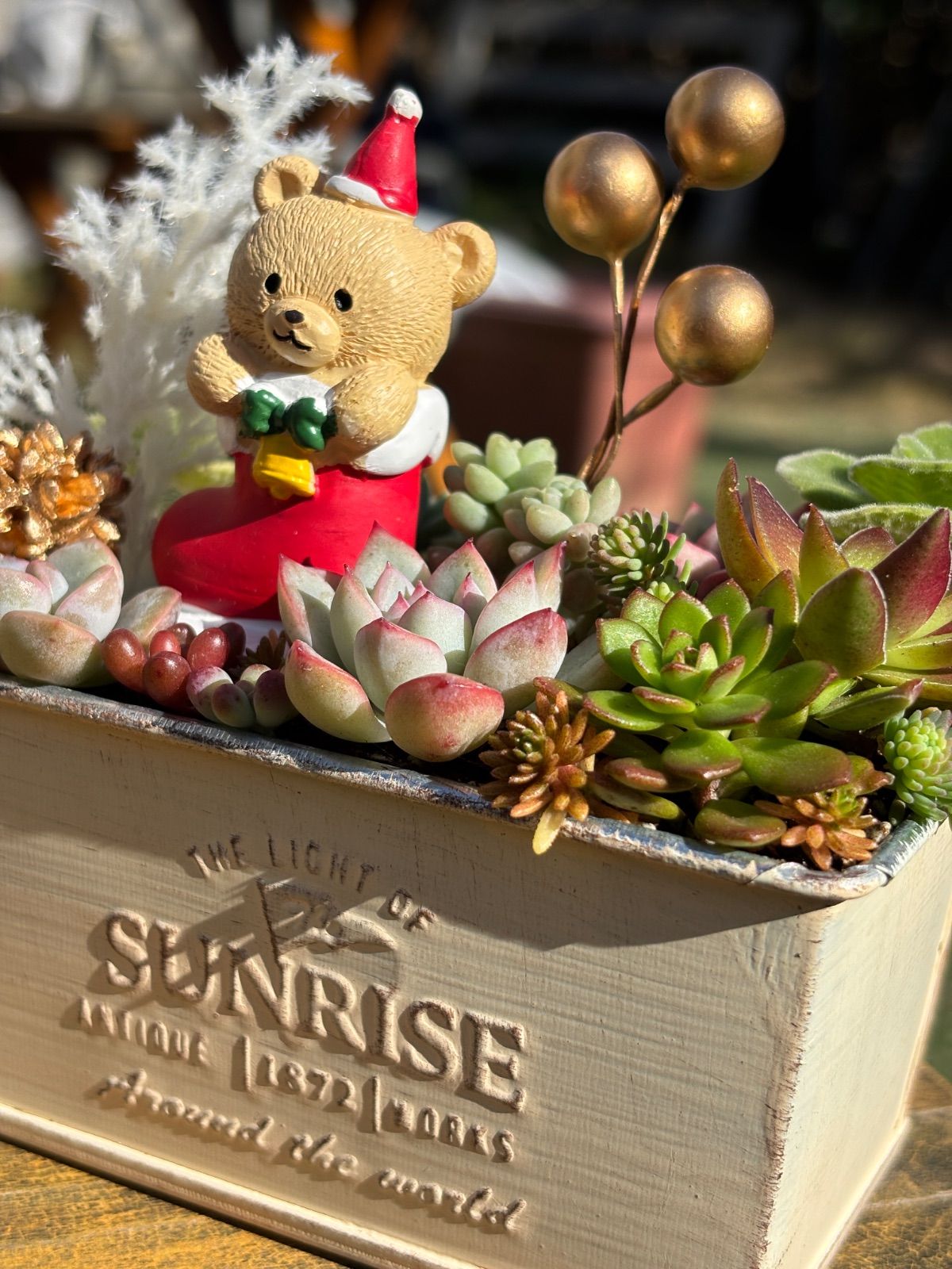 多肉植物＊クリスマス寄せ植え☆長ぐつくまちゃん☆そのまま飾れる