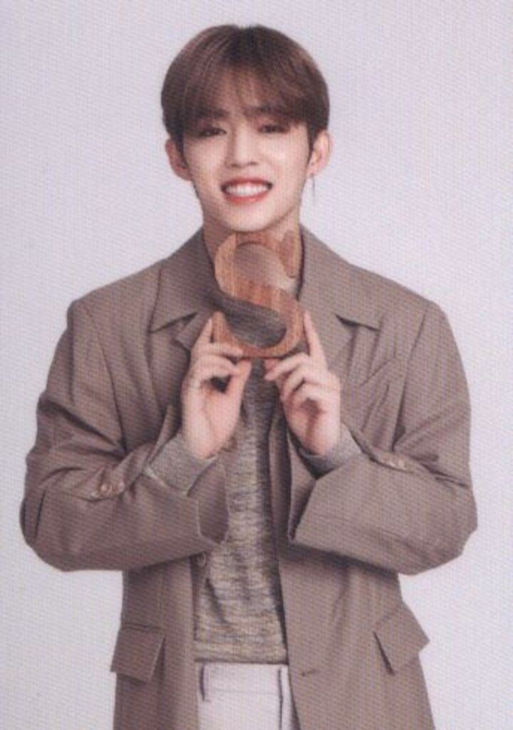 SEVENTEEN 2019 ODE to You IN JAPAN S.COUPS トレーディングカード