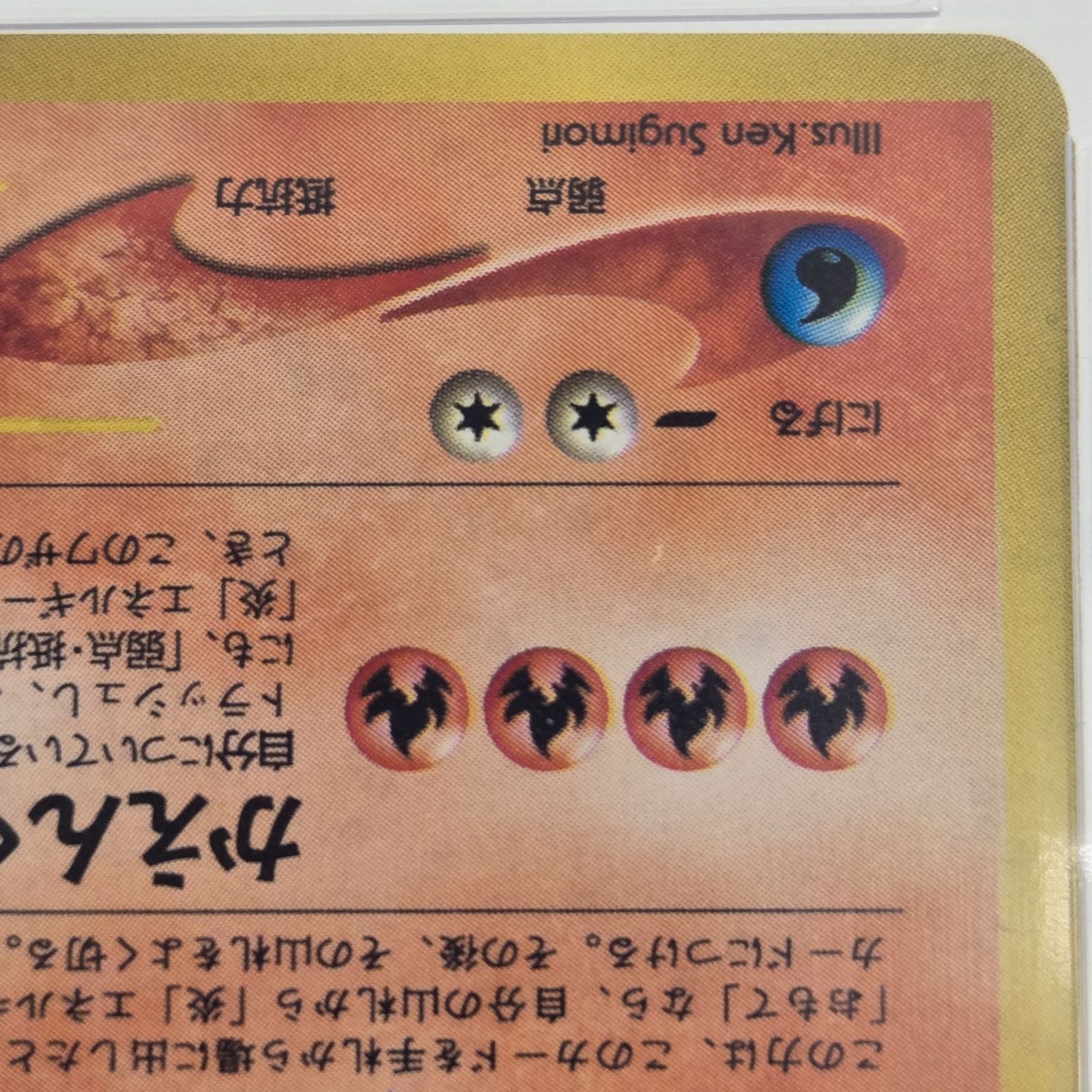 PSA10】ポケモンカードゲーム バクフーン プレミアムファイル PROMO 旧
