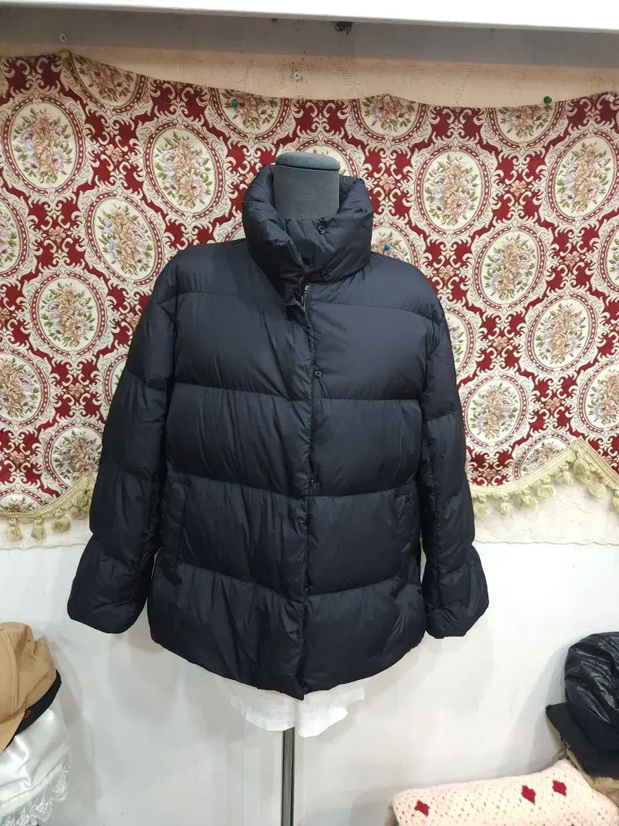 ハヤテのごとく! 50 「超貴重!初だしポストカードブック」付き限定版