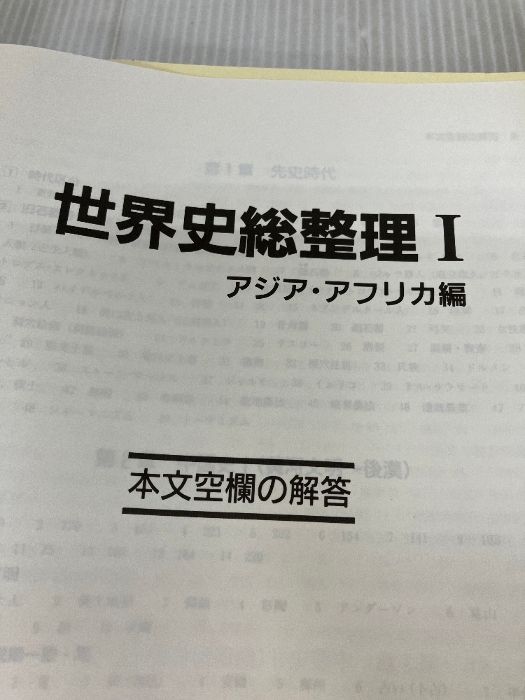 本 駿台 世界史総整理Ⅰ アジア・アフリカ編 須藤 良