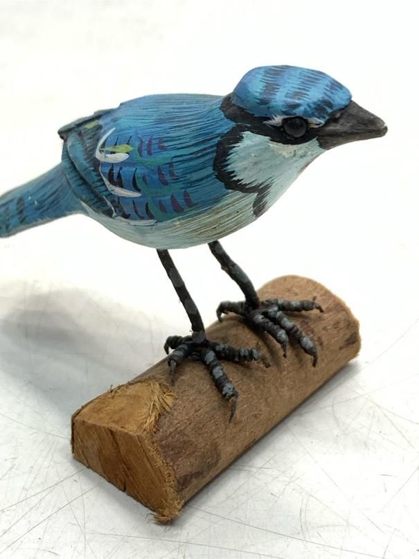 希少 アオカケス バードカービング 野鳥彫刻 木彫りの野鳥 置物